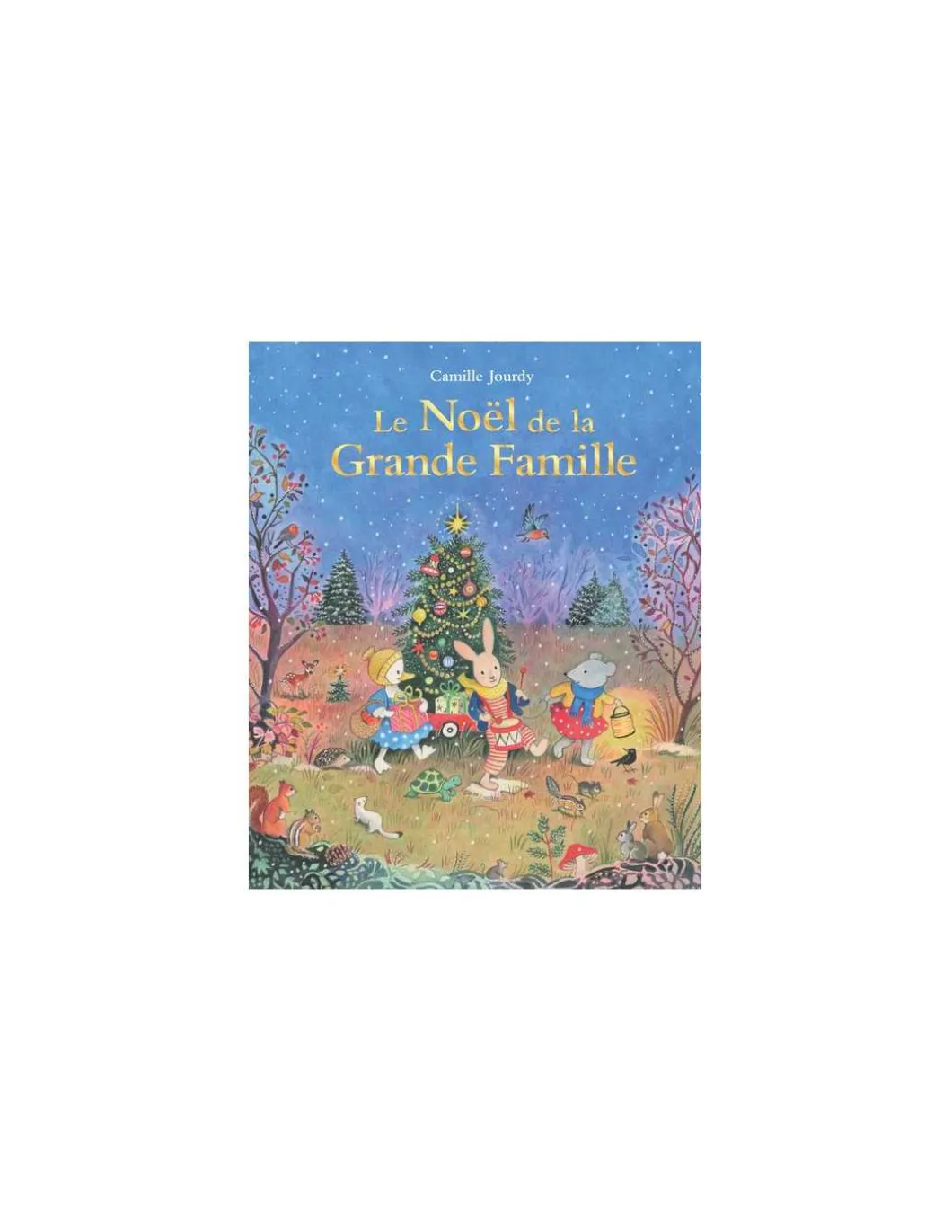Livre Le Noël de la Grande famille - L'école des loisirs