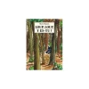 Livre Loup, Loup, y es-tu ? - L'école des loisirs