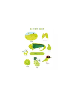 Livre Mes premières couleurs à toucher - Auzou