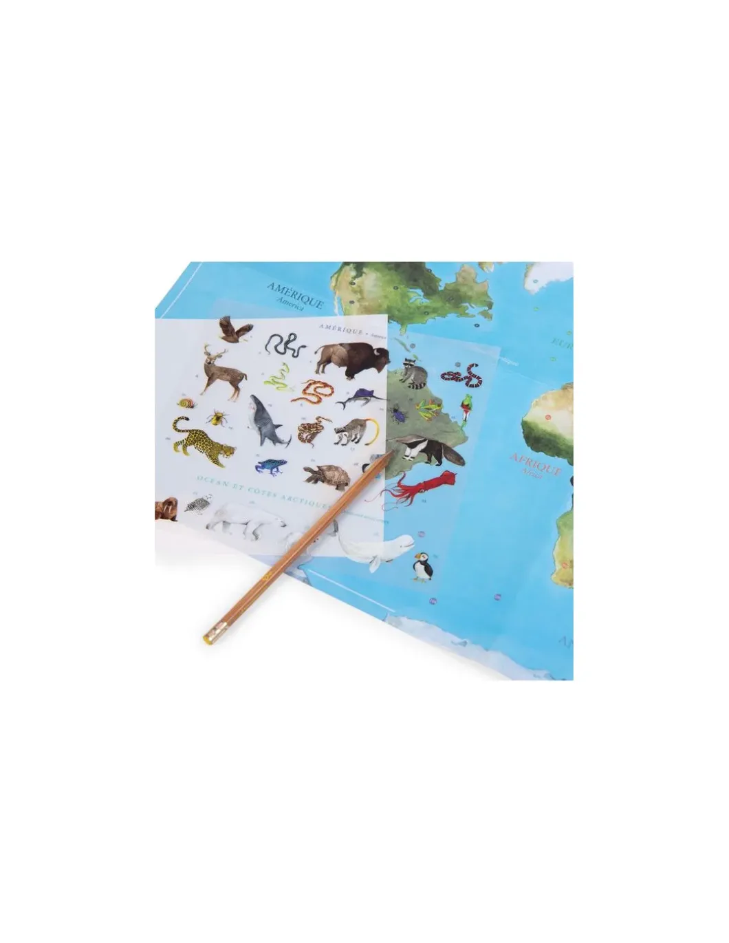 Mappemonde avec décalcomanies Tout autour du monde - Moulin Roty