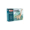 Maquette 3D mécanique Diplodocus - Graine Créative