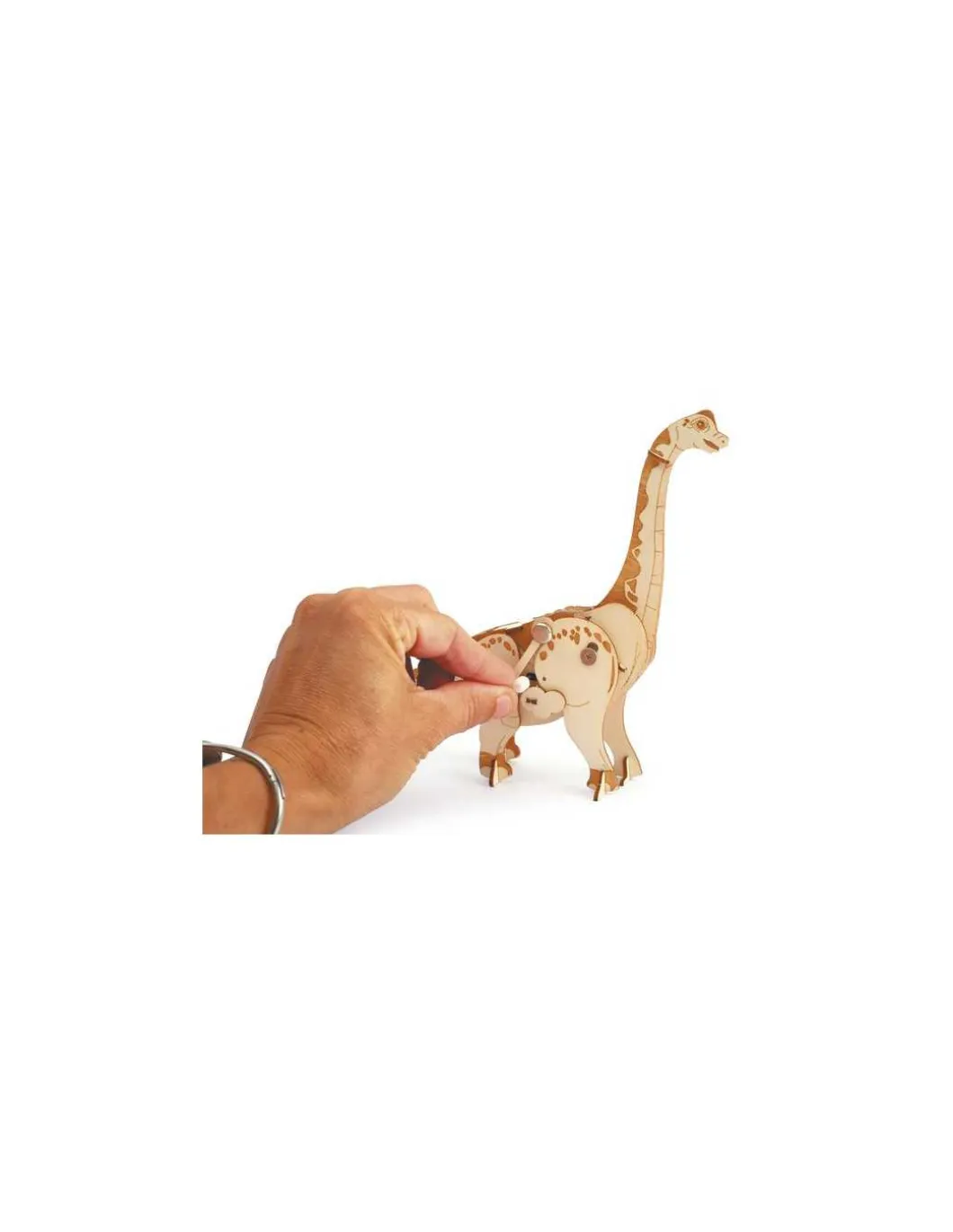Maquette 3D mécanique Diplodocus - Graine Créative