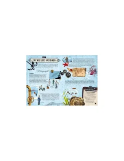 Maquettes 3D Jules Verne - Sassi