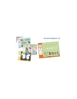 Mes jeux effaçables de Moyenne Section - Auzou