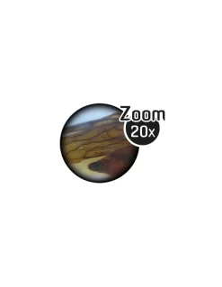Microscope stereo 3D - Buki