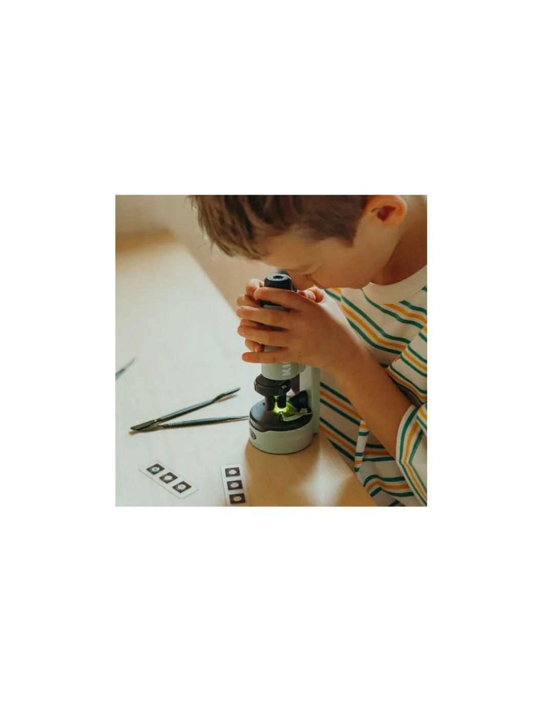Microscope vert - Kidywolf