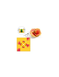 Origami tropiques - Djeco