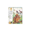 Peinture au numéro animaux de la forêt - Janod