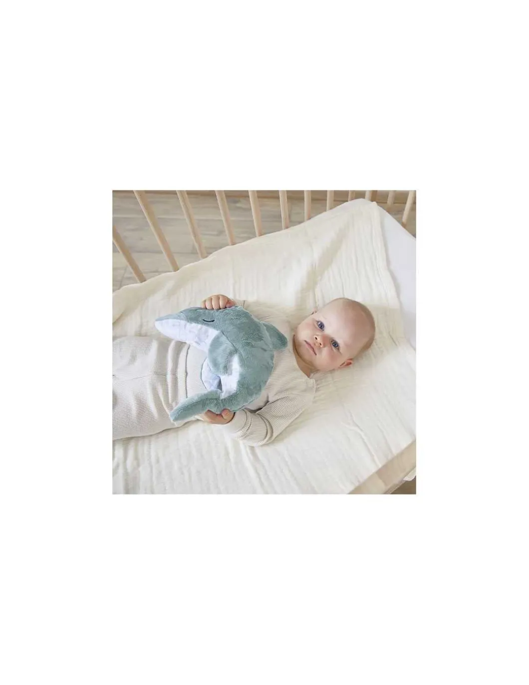 Peluche bien-être dauphin Petit calme - Kaloo