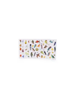 Pochette stickers Le botaniste Le Jardin du Moulin - Moulin Roty