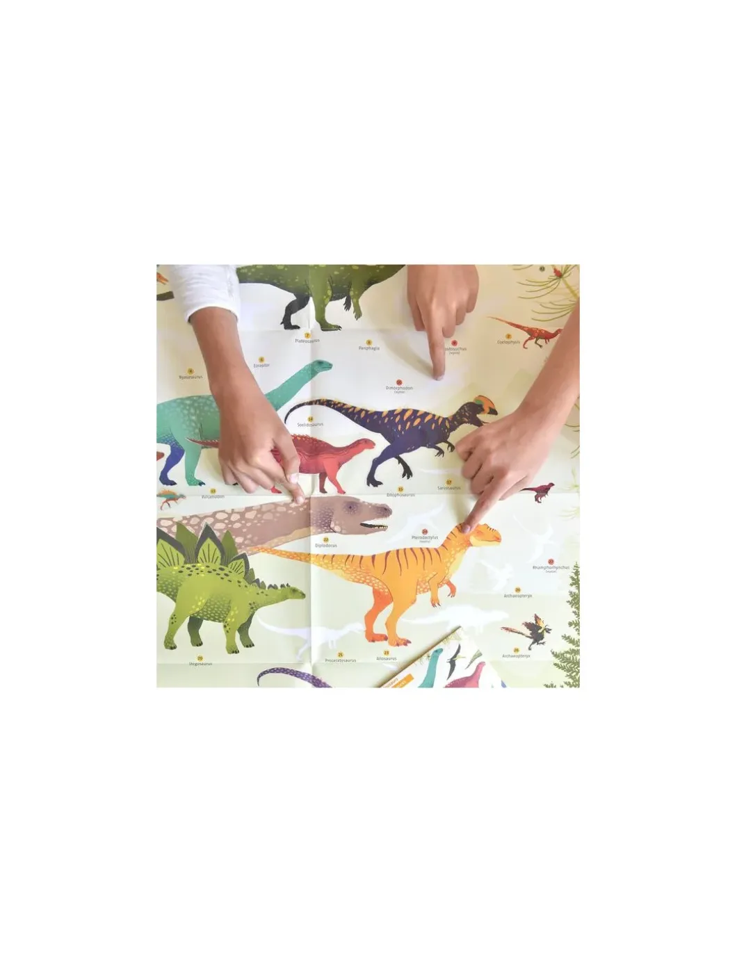 Poster en stickers dinosaures - Poppik