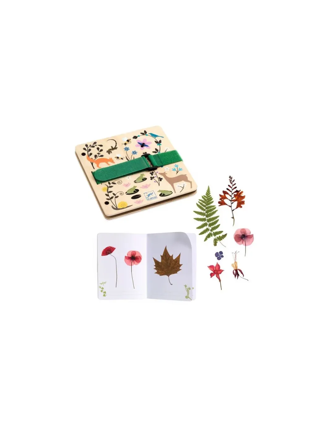 Presse et herbier à créer Petit botaniste - Do it Yourself Djeco