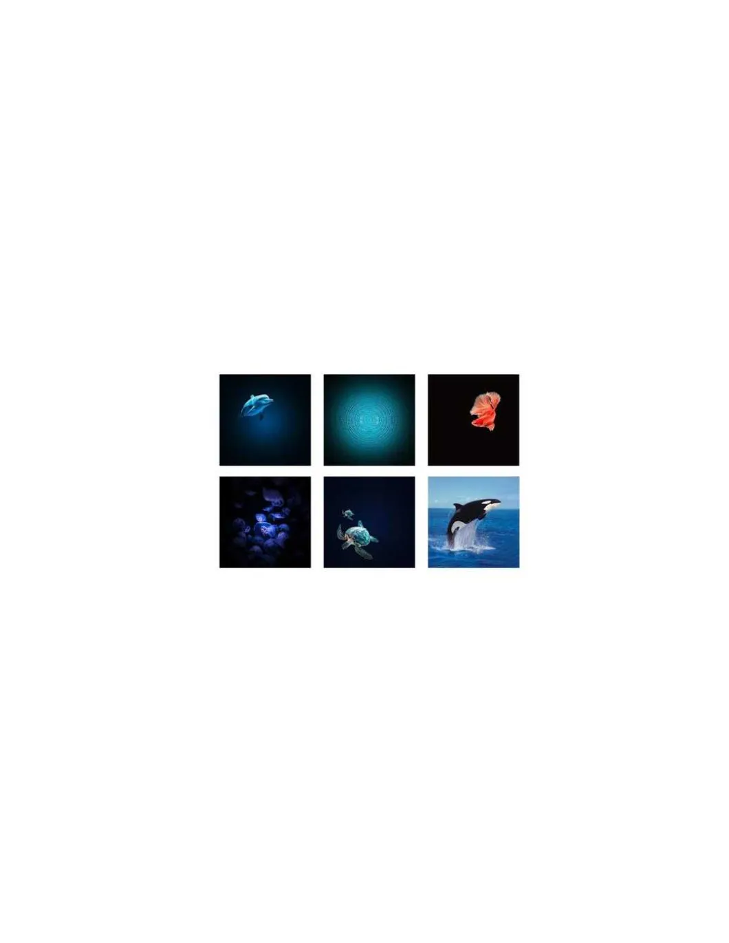 Projecteur d'images océans et mers Kidystar - Kidywolf
