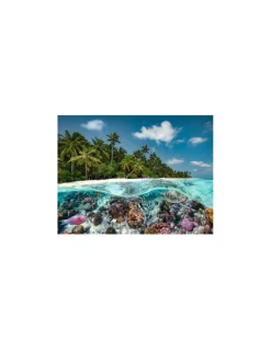 Puzzle 2000 pièces Une plongée aux Maldives - Ravensburger