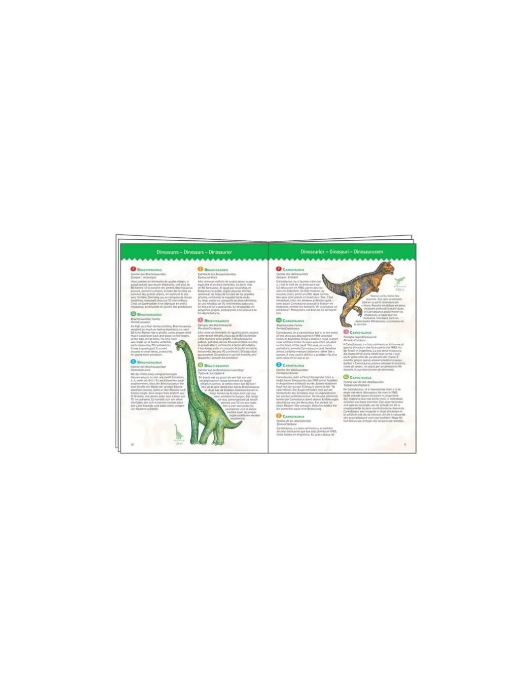 Puzzle d'observation Dinosaures et livret - Djeco