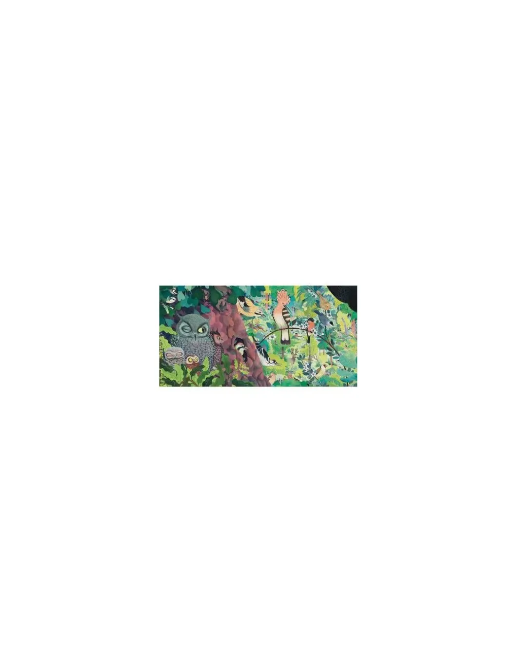 Puzzle gallery Owls and birds 1000 pièces - Djeco