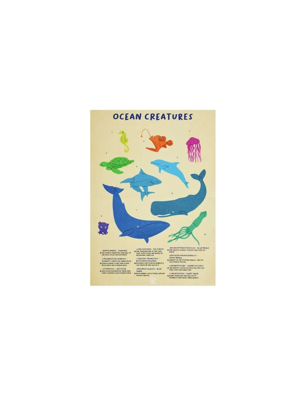 Puzzle géant Baleine 200 pièces - Hape