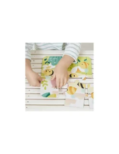Puzzles évolutifs Pure - Janod
