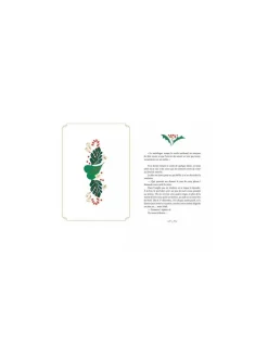 Romance de l'Avent Secret Santa - Auzou