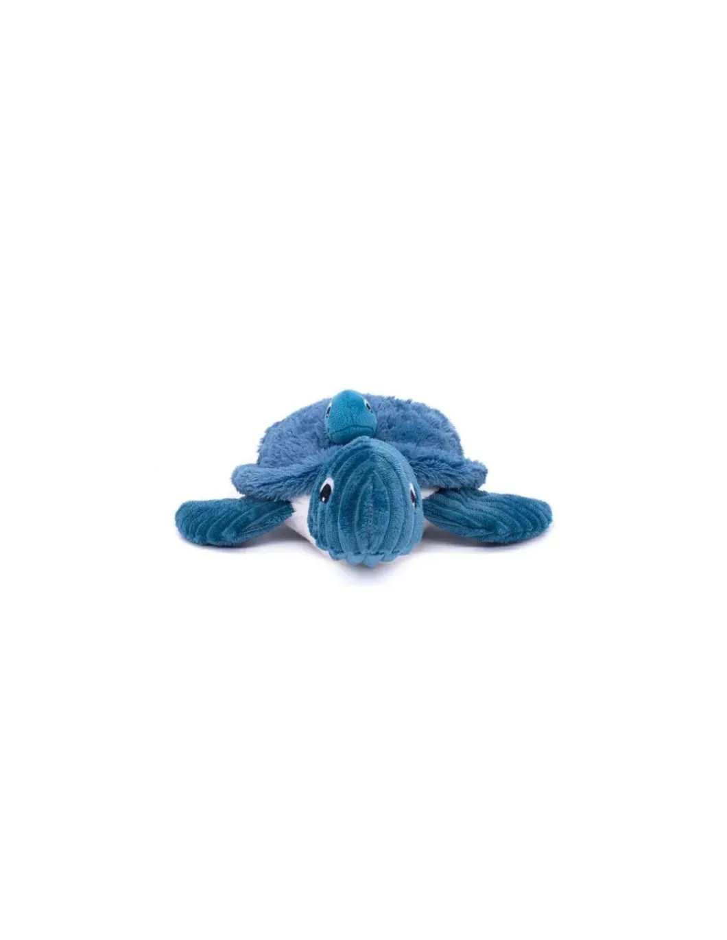 Sauvenou la tortue bleue - Les Ptipotos by Déglingos