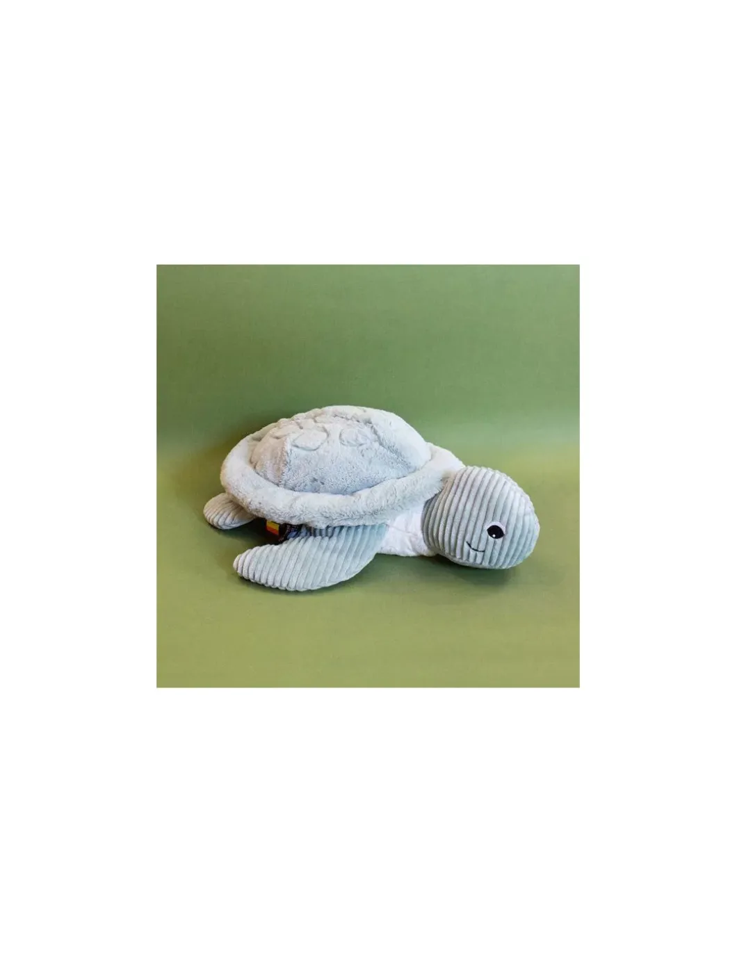 Sauvenou la tortue géante menthe - Les Ptipotos by Déglingos
