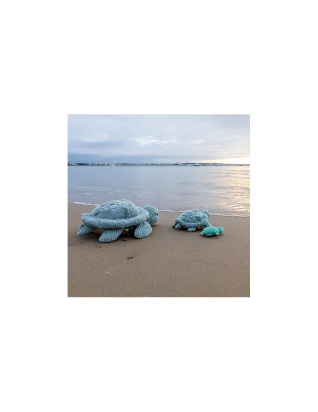 Sauvenou la tortue géante menthe - Les Ptipotos by Déglingos