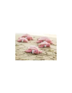 Sauvenou la tortue rose - Les Ptipotos by Déglingos