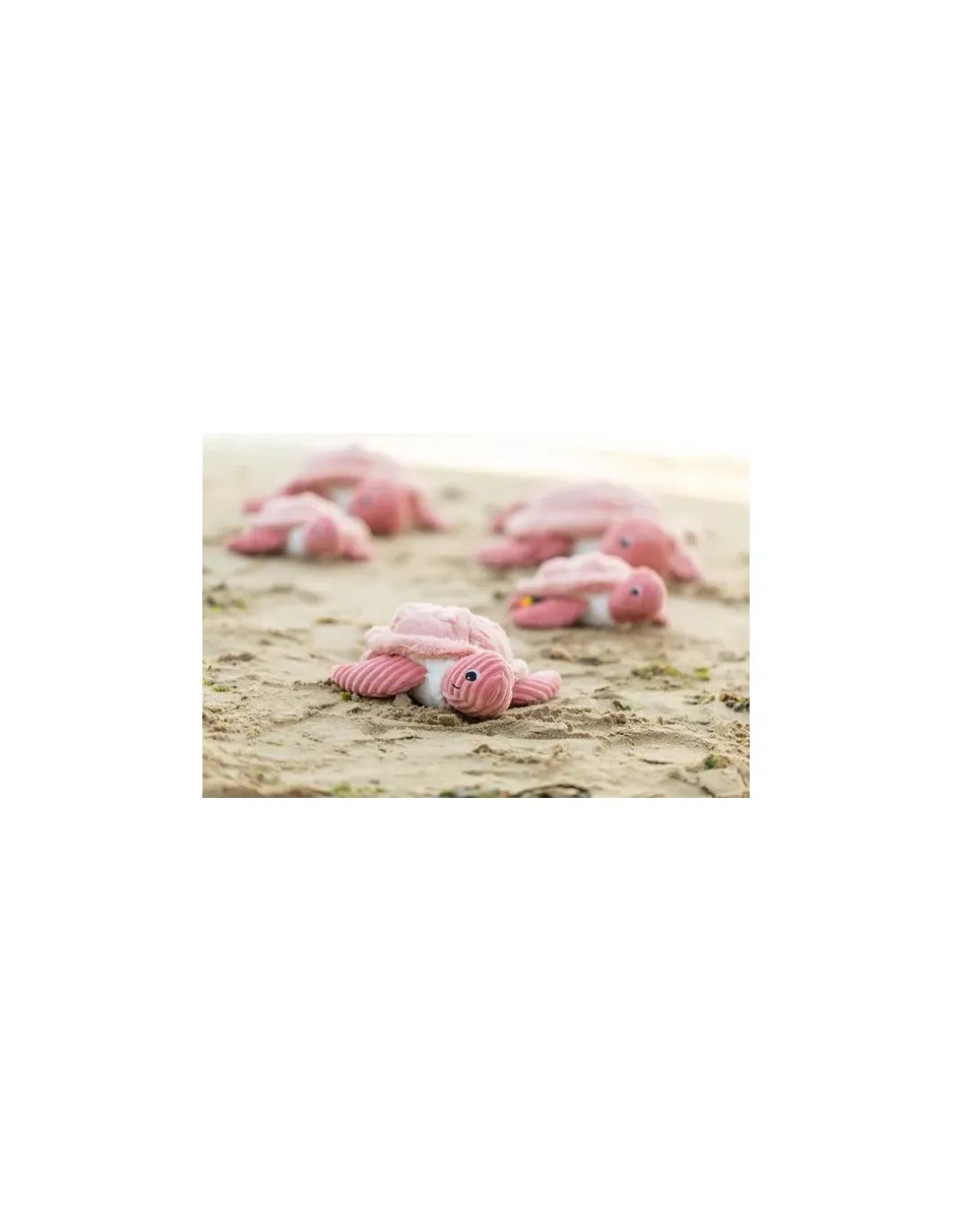 Sauvenou la tortue rose - Les Ptipotos by Déglingos