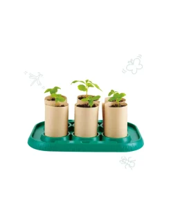 Serre pour appentis jardiniers - Hape