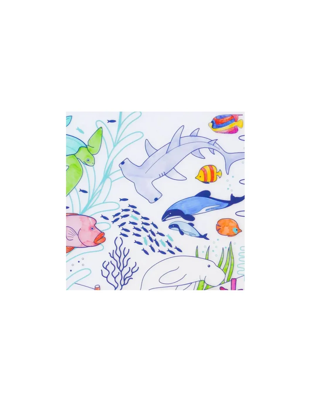Set à colorier silicone Barrière de corail - Super Petit
