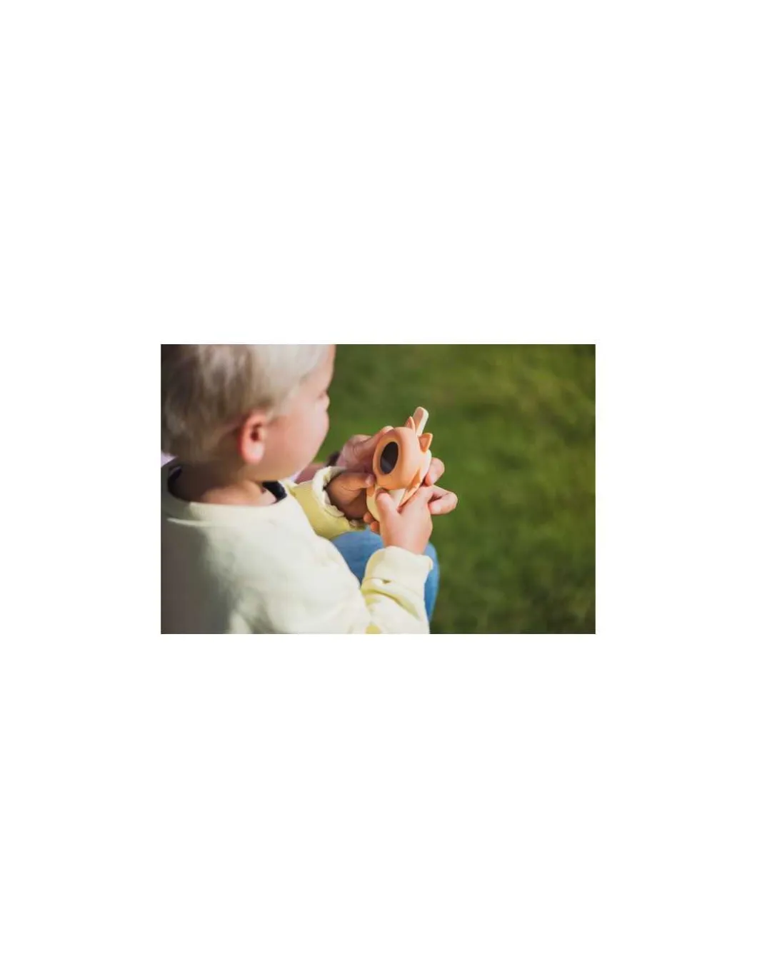 Talkie Walkie Renard - The Zoofamily