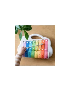 Xylophone à rouleaux arc en ciel - Tiger tribe